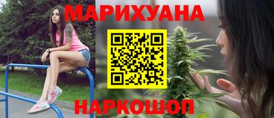 сатива Будённовск