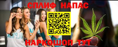 сатива Будённовск