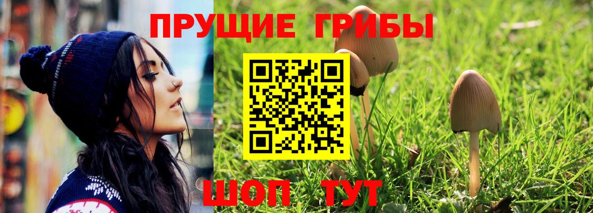 Псилоцибиновые грибы Psilocybe  Вход с VPN  Строитель 